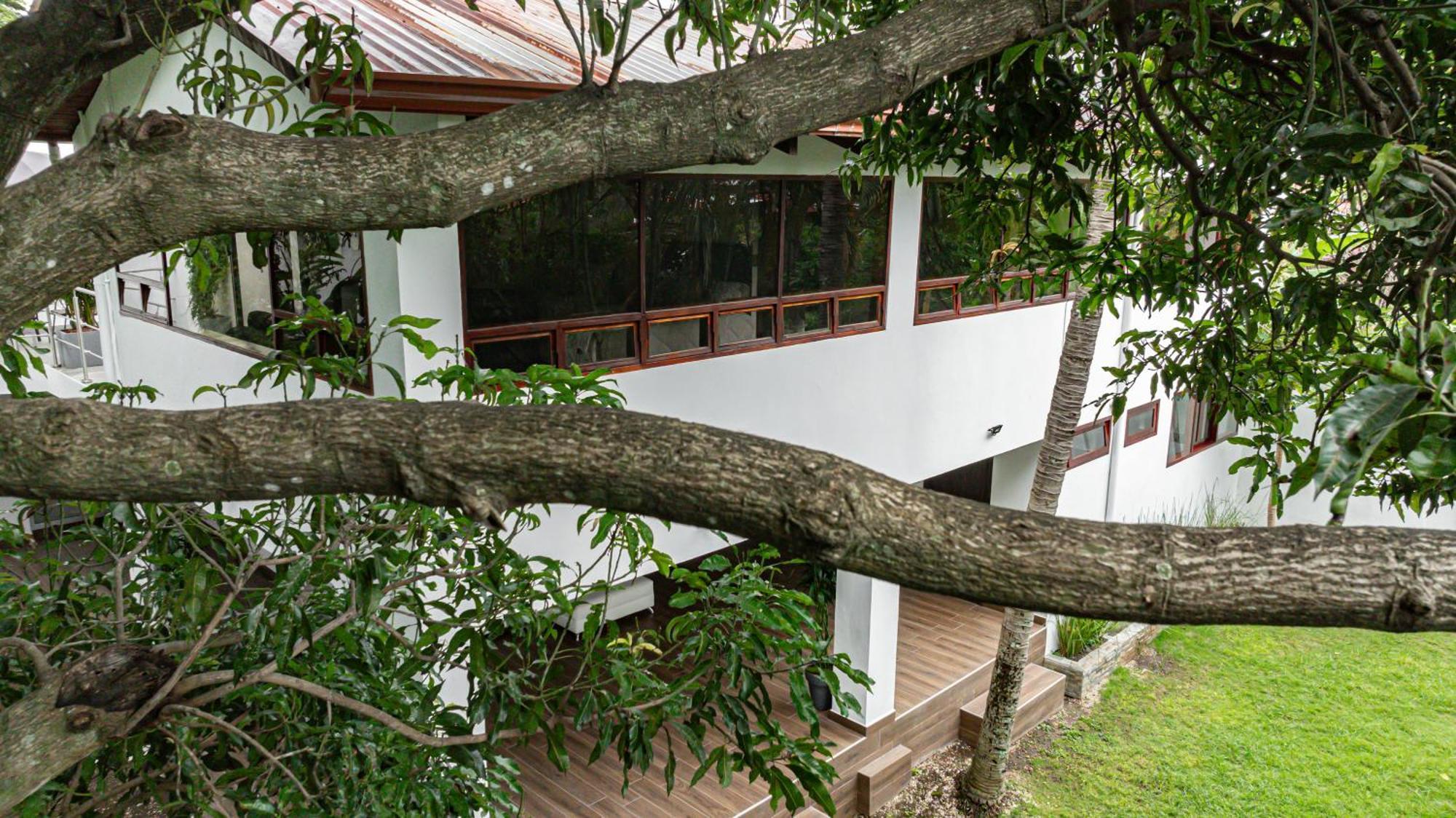 Home 333 Habitacion 332 Escazu Екстер'єр фото