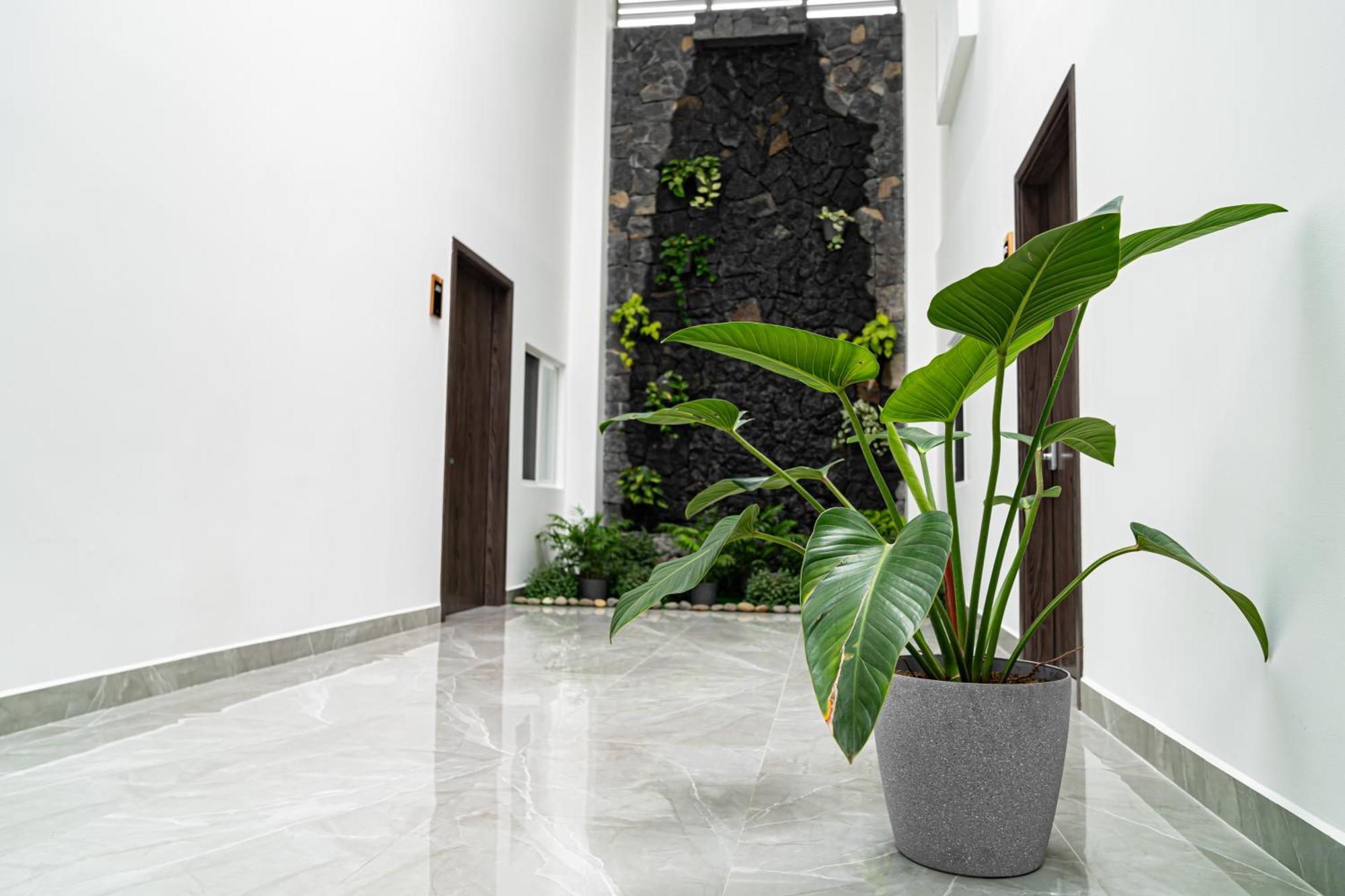 Home 333 Habitacion 332 Escazu Екстер'єр фото